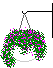 plantr-i.gif