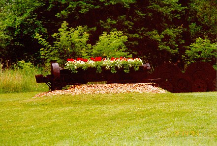 flowers.jpg