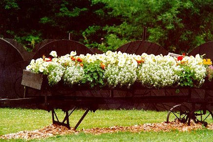 flwagon1.jpg