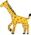 giraf-i.gif