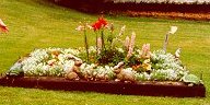 grnplanter.jpg