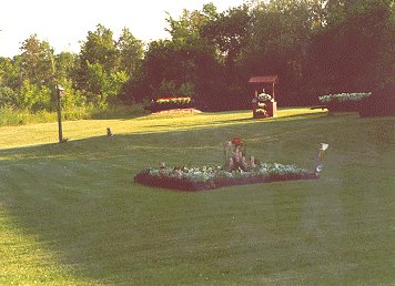 lawn.jpg