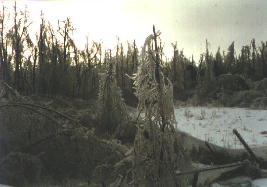 Storm-a.jpg