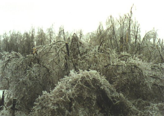 Storm-e.jpg