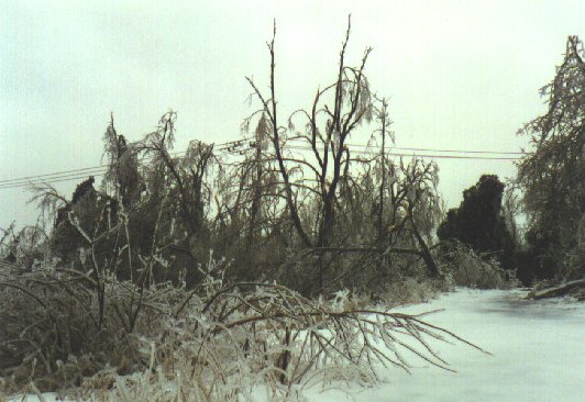 Storm-f.jpg