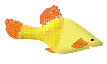 fish.gif