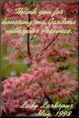 thank you Lady Larkspur