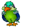 parrott.gif