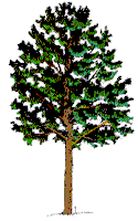 tree.gif